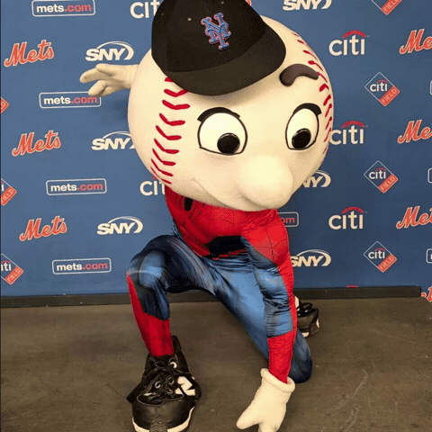 Lets Go Mets GIF