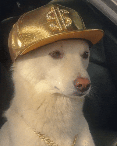 Jindo GIF