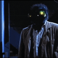the fly horror movies GIF by absurdnoise