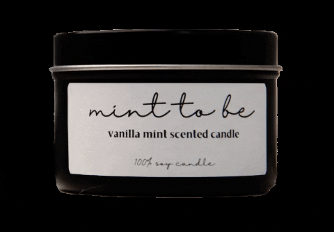 mint scented meaning, definitions, synonyms