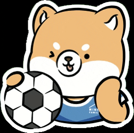 Football Sport GIF by Miniso Canada