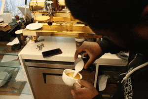 pandascoffee coffee nyc new york city seattle GIF