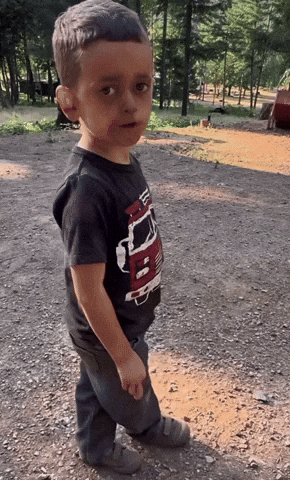 Come Over Its A Surprise GIF