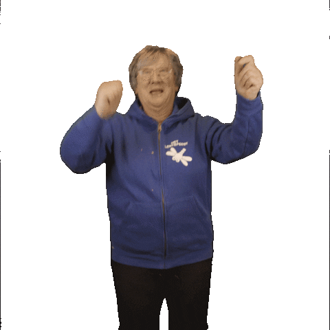 Confetti Sticker by Het Lentefeest