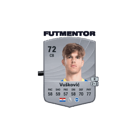 Premier League Epl Sticker by FUT Mentor