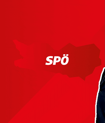 Peter Kaiser What GIF by SPÖ Kärnten