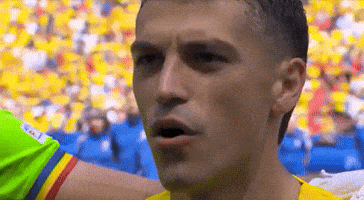 Euro Romania GIF