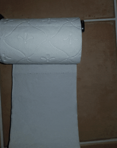 Satisfying Toilet Paper GIF