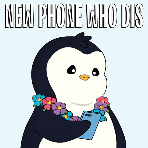 Who Is This GIF by Pudgy Penguins