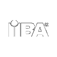 IIBA Sticker