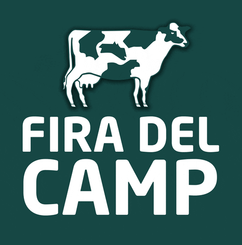 Camp GIF by Més Menorca