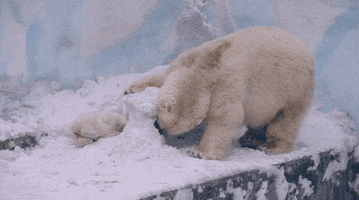 200.gif