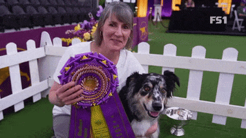 Westminster Dog Show Willie GIF by Westminster Kennel Club