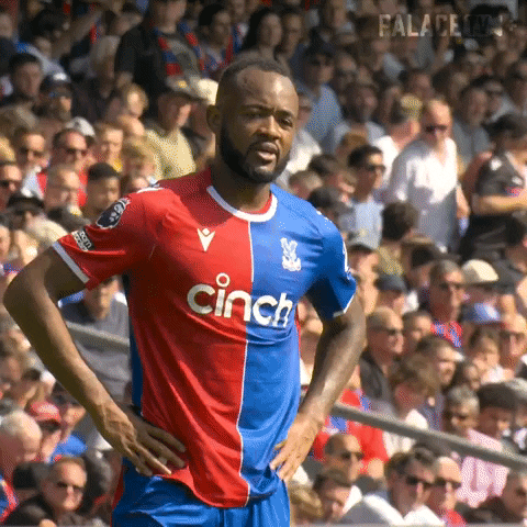 Confused Premier League GIF by Crystal Palace Football Club