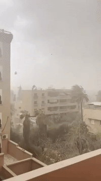 Strong Moroccan Sandstorm Downs Trees and Topples Electricity Poles