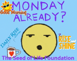 Coffee Grow GIF by The Seed of Life Foundation