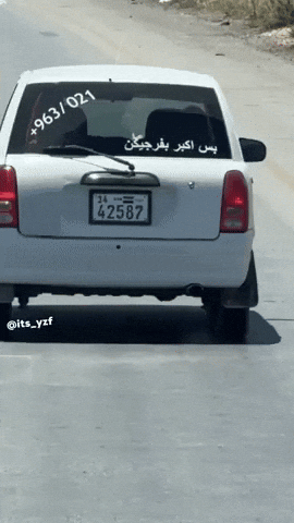 Syria Absi GIF