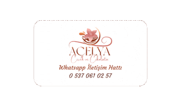 acelyacicek Sticker