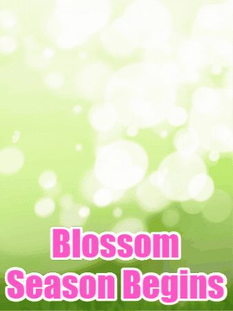 Cherry Blossom Easter GIF by TeaCosyFolk