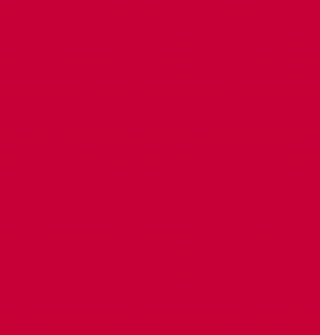 Lula GIF