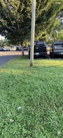 Jmoney GIF