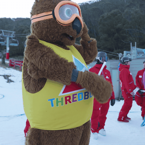 GIF by Thredbo