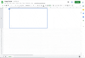 Google Sheets GIF