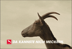 Unser Brandenburg GIF