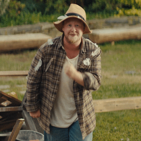 Holub GIF by Fio banka