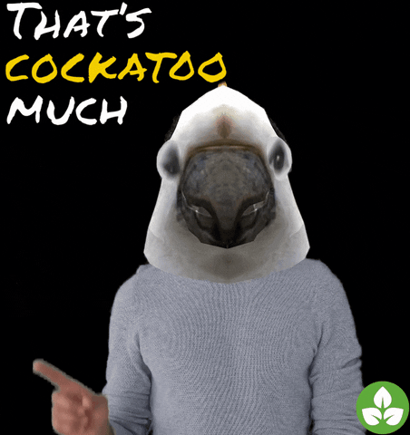Too Much No GIF by Australian Conservation Foundation