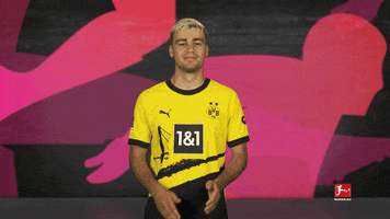 Borussia Dortmund Applause GIF by Bundesliga