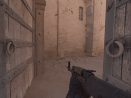 Counter Strike Cs2 GIF