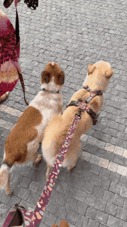 GIF by Mixit-polska