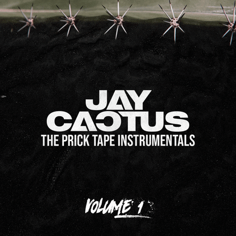 Jay Cactus GIF