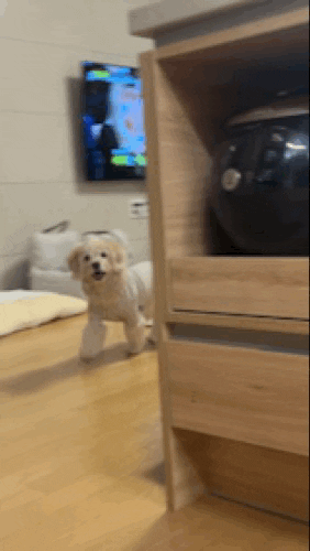 Cute GIF