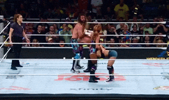 Seth Rollins Wwe GIF