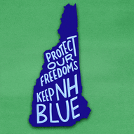 Protect our freedoms, keep New Hampshire blue