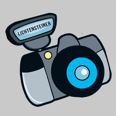 Happy Camera GIF by Lichtensteiner
