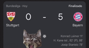 Bundesliga Bayern GIF