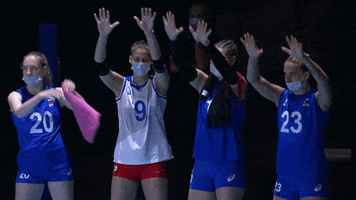 Rejected Sport GIF by Volleyball World