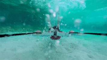 Underwater Squad GIFs Find Share On GIPHY