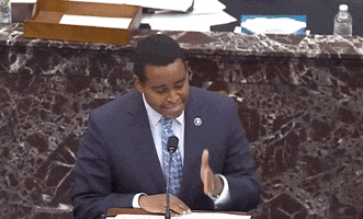 Senate Impeachment Trial GIF by GIPHY News