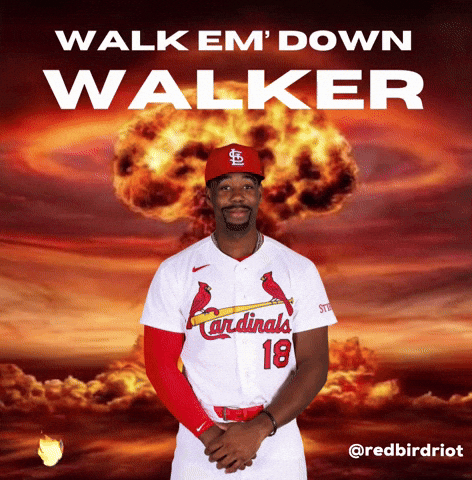 St Louis Cardinals GIF