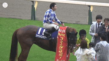 Sport Champion GIF by World Horse Racing