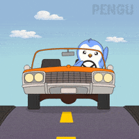 Driving On My Way GIF by Pudgy Penguins
