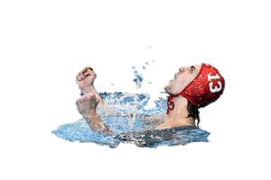 Happy Water Polo Sticker by Ferencvárosi Torna Club