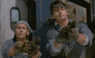 Charlie Sheen Applause GIF - Find & Share on GIPHY