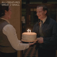 Party Birthday GIF by All Creatures Great And Small