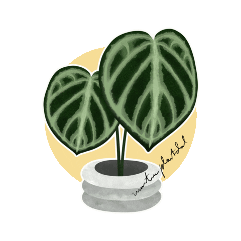 Houseplant Anthurium Sticker