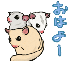 Morning おはよう Sticker